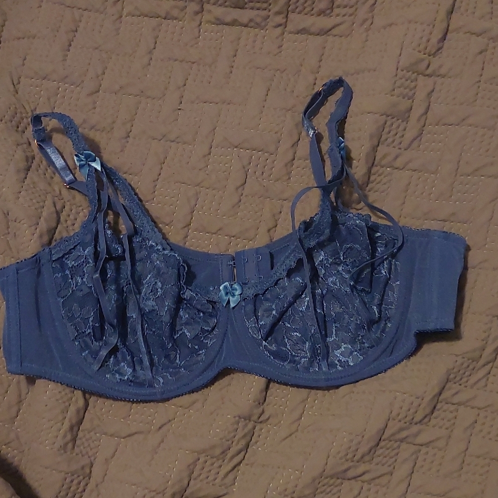 Hips and curves Nwot‎ Lace Underwire Bra in Blue 42 C/D